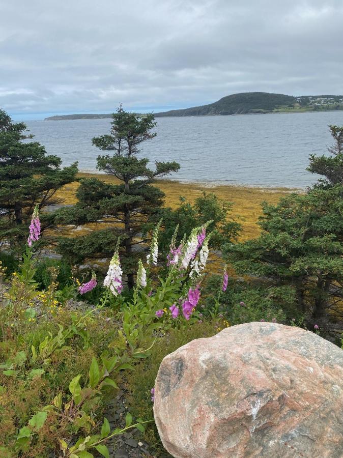 Villa Rocky Harbour Oceanfront Esterno foto