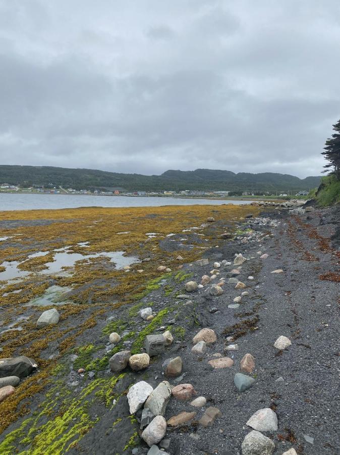 Villa Rocky Harbour Oceanfront Esterno foto
